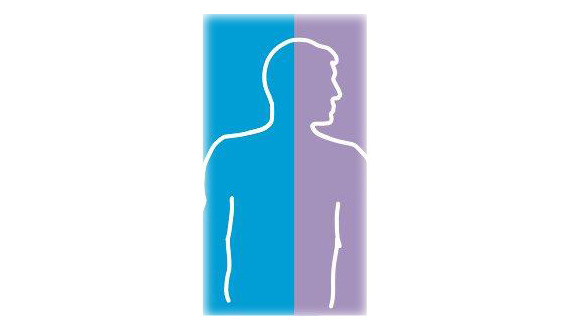 vedder logo